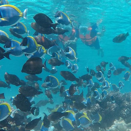 Club Blu Hotel Hulhumale Bagian luar foto