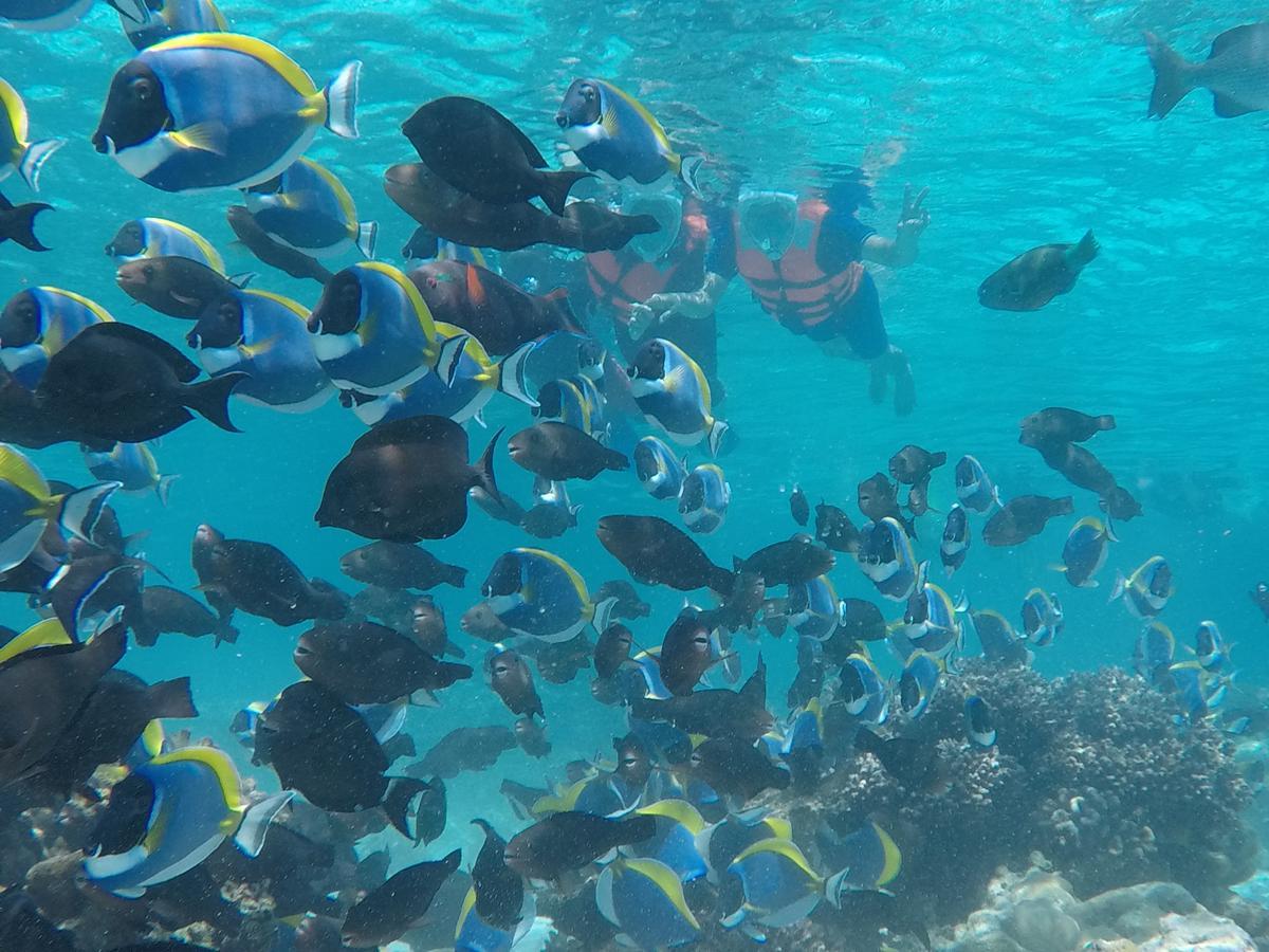 Club Blu Hotel Hulhumale Bagian luar foto